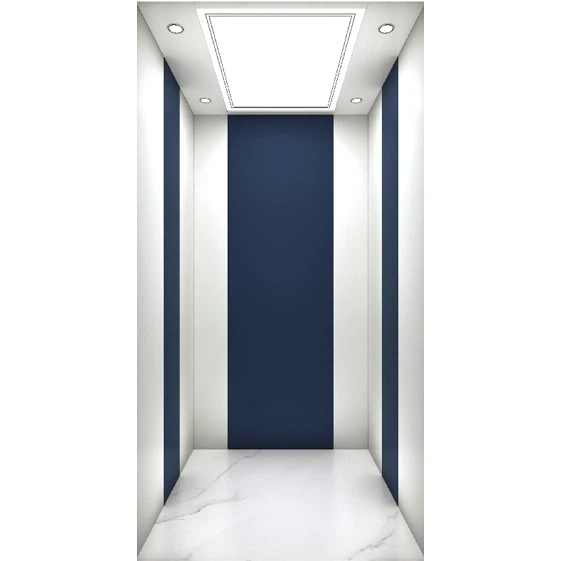 Colorful Small Home Lifts